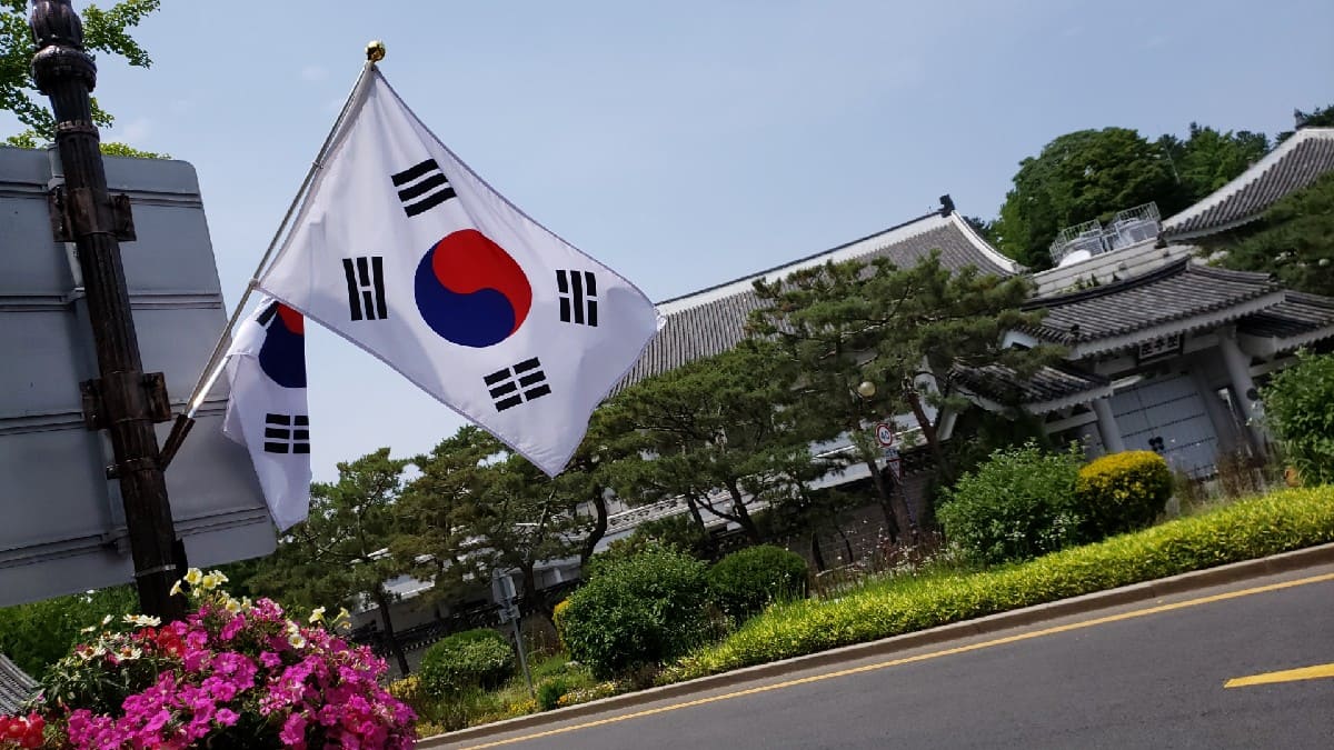 韓国国旗 South Korean Flag